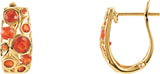 Hinged Hoop Earrings