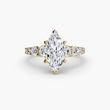 The Graduated Accent Ring